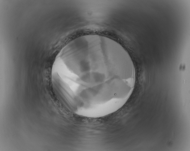 X0000111221397200907231429