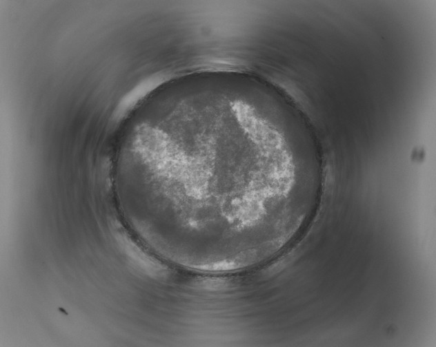 X0000111221402200907231430
