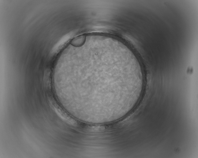 X0000111221403200907231430