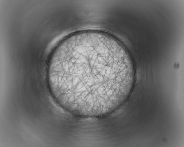 X0000111221406200907231430