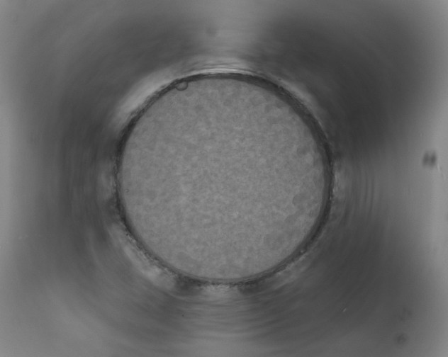X0000111221407200907231430