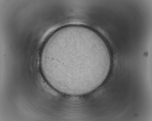 X0000111221408200907231430