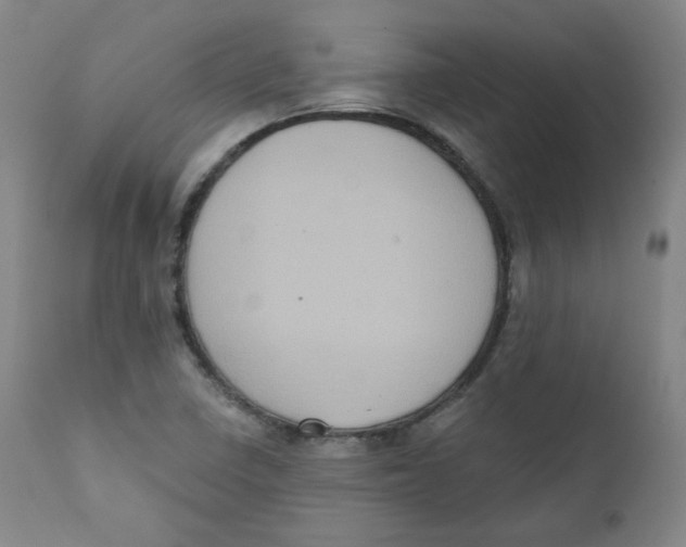X0000111221410200907231430