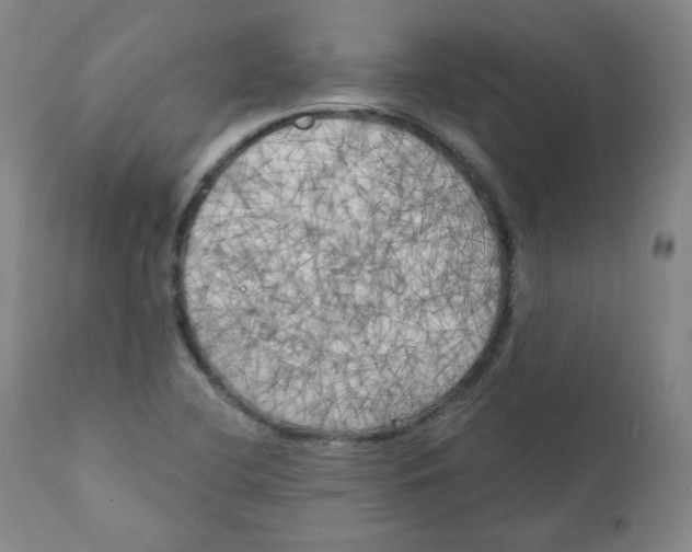 X0000111221412200907231430