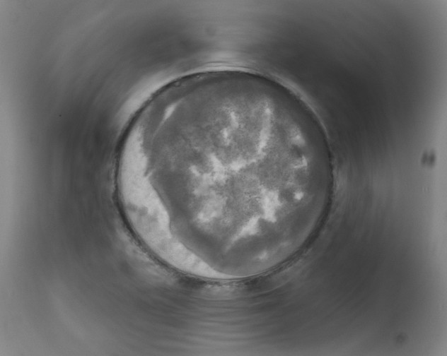 X0000111221415200907231430