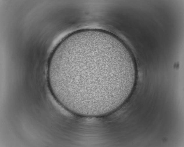 X0000111221416200907231430