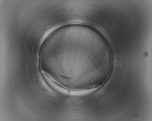 X0000111221418200907231430