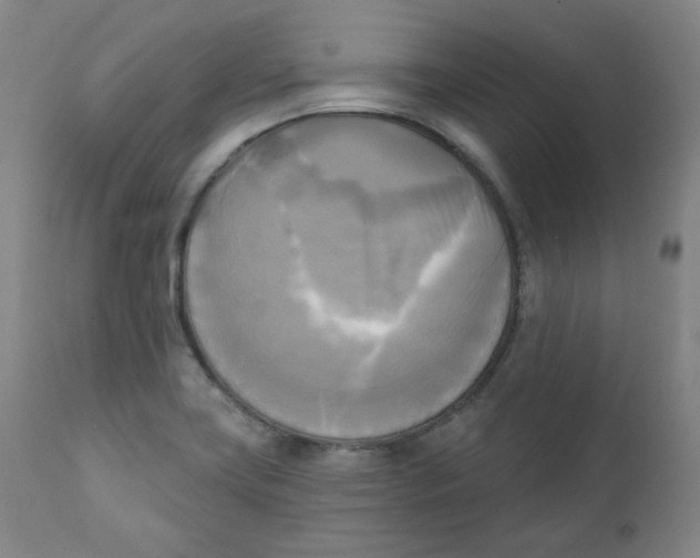 X0000111221419200907231430