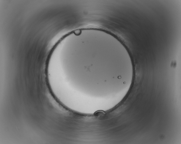 X0000111221422200907231430