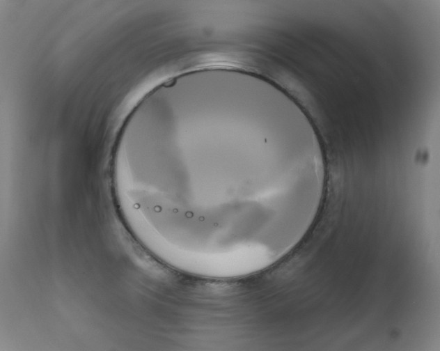 X0000111221427200907231430
