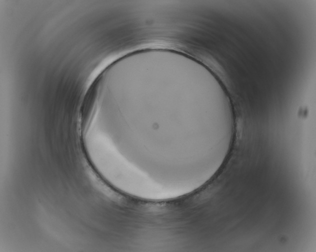 X0000111221428200907231430