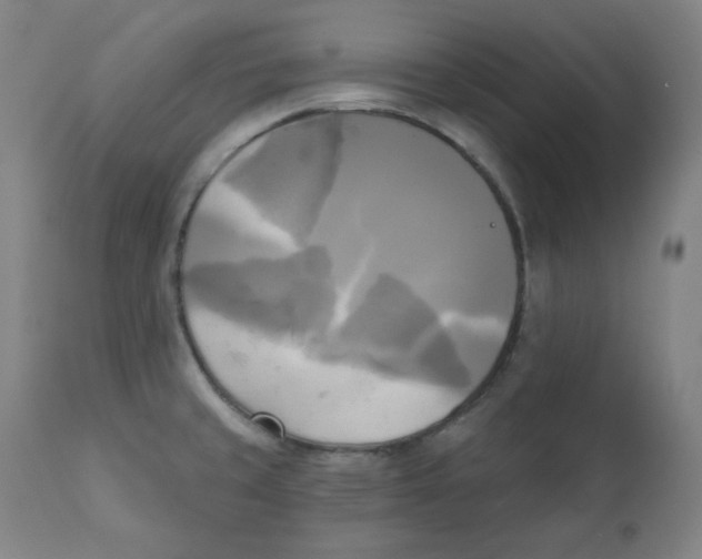 X0000111221429200907231430