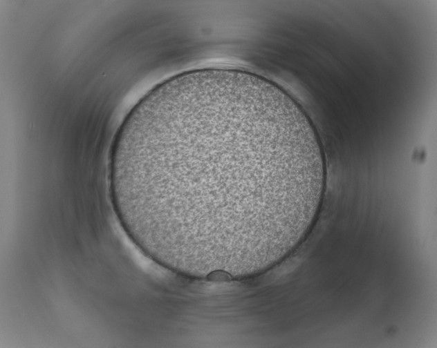 X0000111221430200907231430