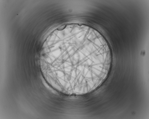 X0000111221433200907231430