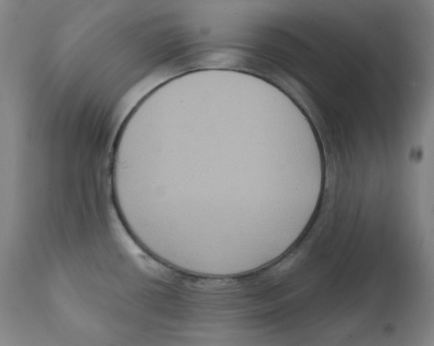X0000111221434200907231430