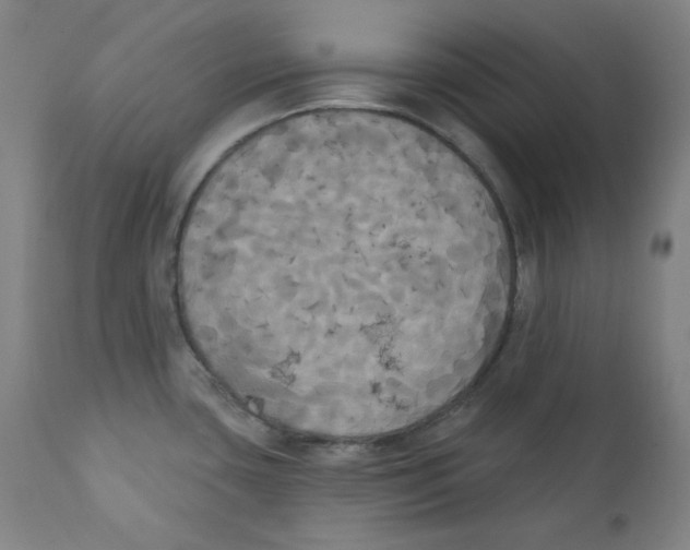 X0000111221435200907231430
