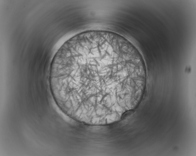 X0000111221437200907231430
