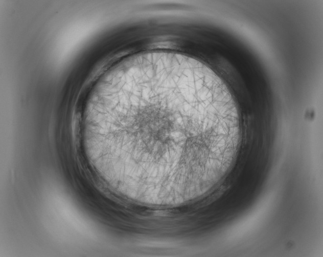 X0000111221438200907231430