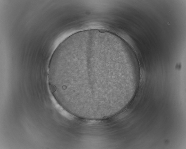 X0000111221439200907231430