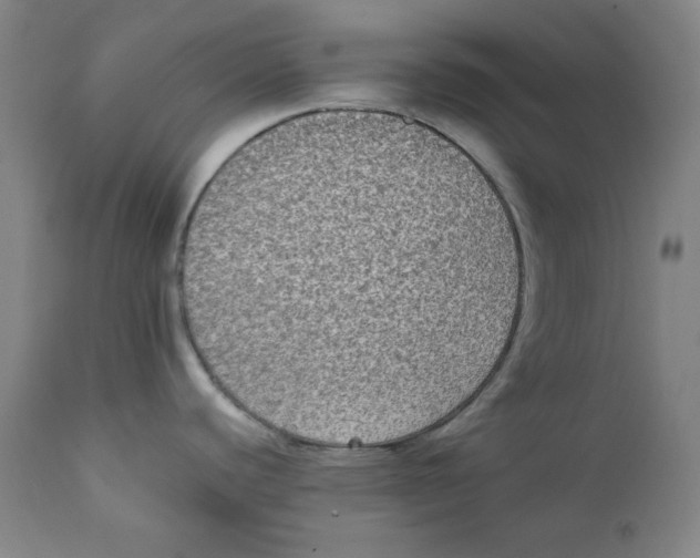 X0000111221440200907231430
