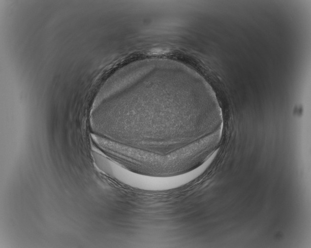 X0000111221441200907231429