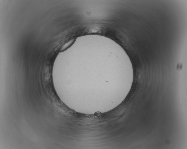 X0000111221442200907231429