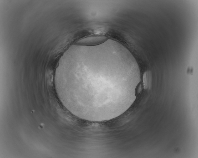 X0000111221443200907231429