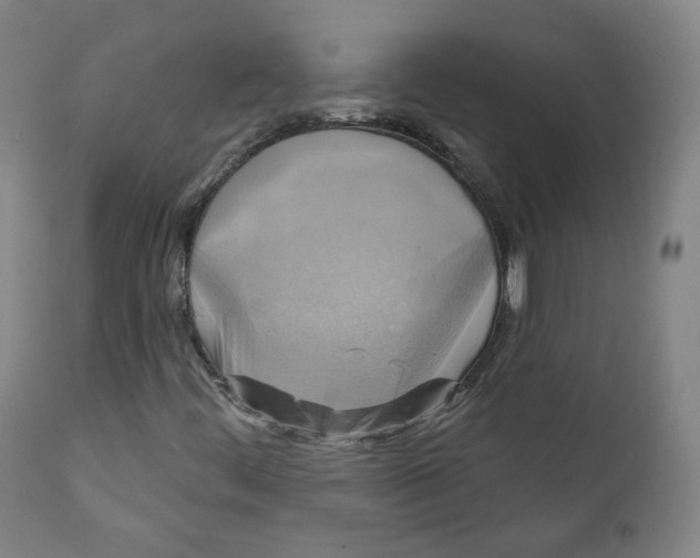 X0000111221444200907231429