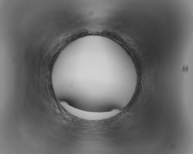 X0000111221445200907231429