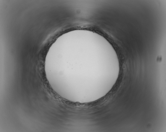 X0000111221447200907231429