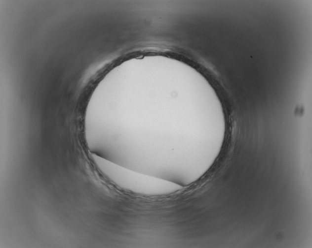 X0000111221448200907231429