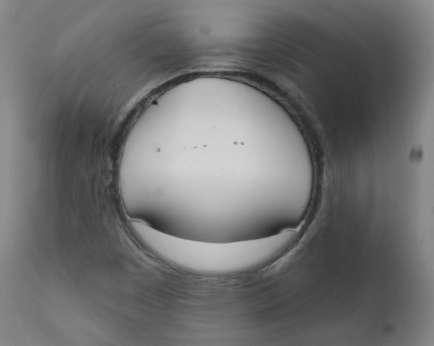 X0000111221449200907231429