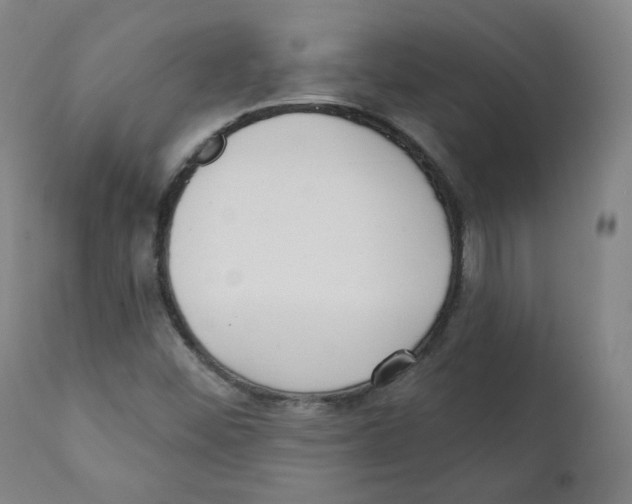 X0000111221452200907231429
