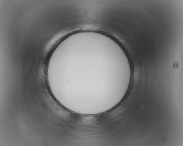X0000111221454200907231429