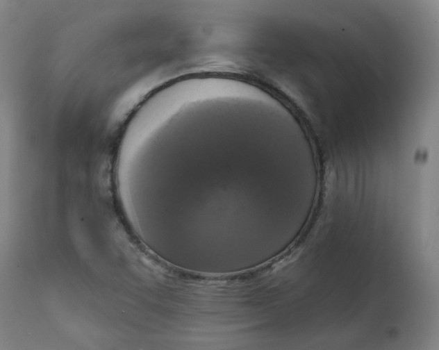 X0000111221455200907231429
