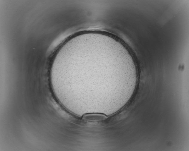 X0000111221456200907231429