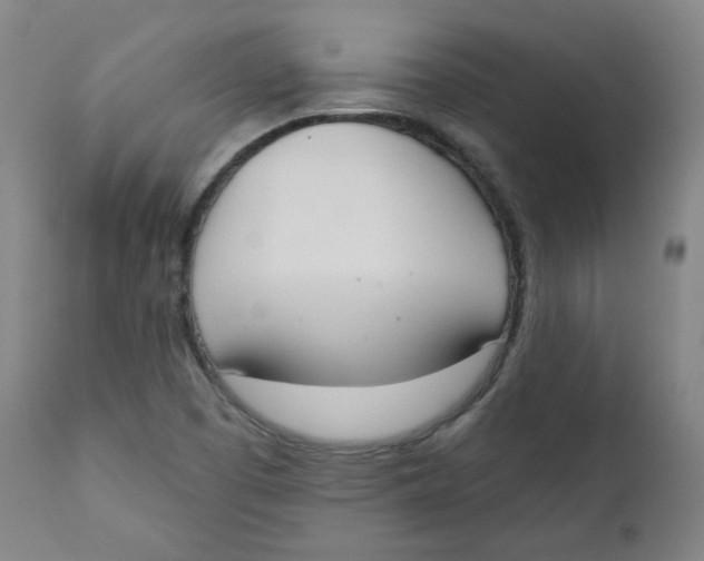 X0000111221457200907231429