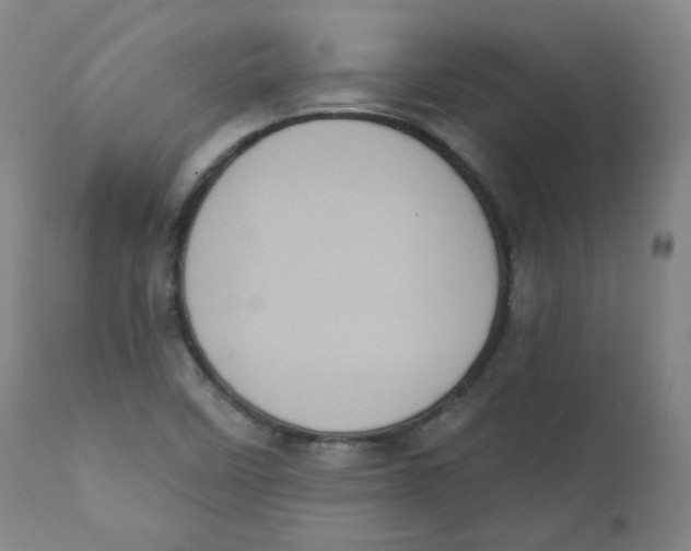 X0000111221458200907231429