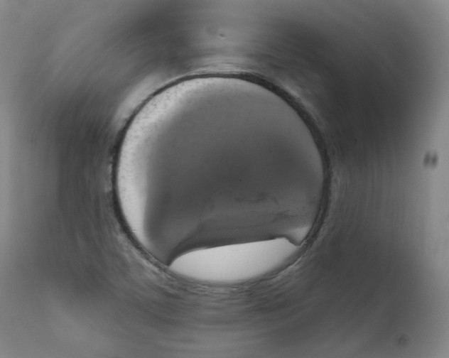 X0000111221459200907231429