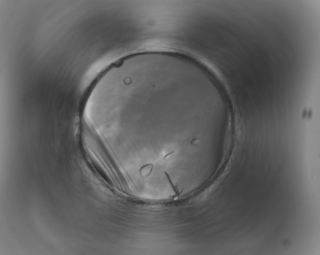 X0000111221461200907231429