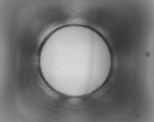 X0000111221462200907231429