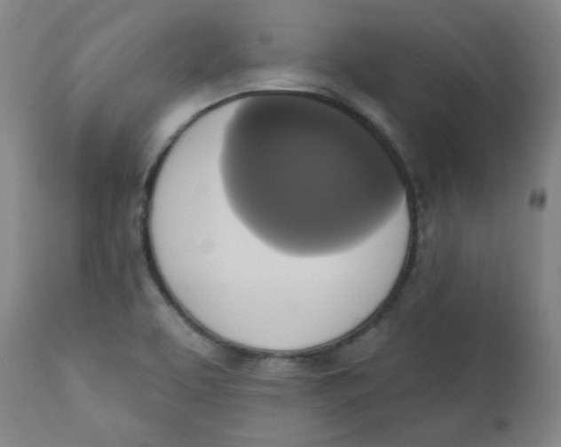 X0000111221463200907231429