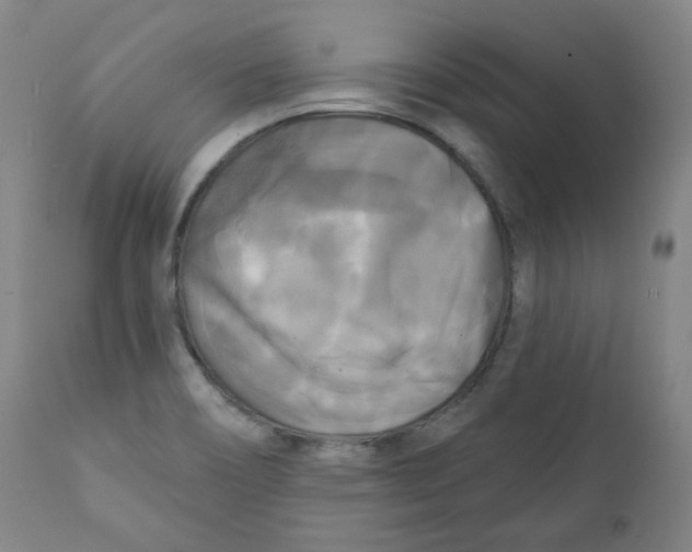 X0000111221466200907231429