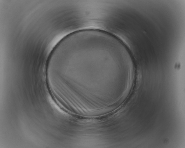 X0000111221468200907231429