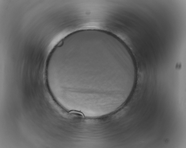 X0000111221469200907231429