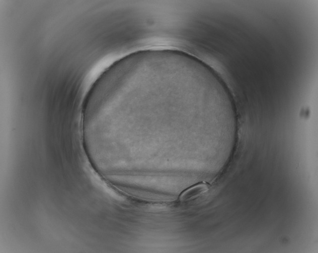 X0000111221472200907231429