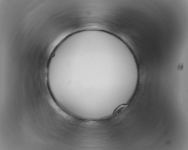 X0000111221476200907231429