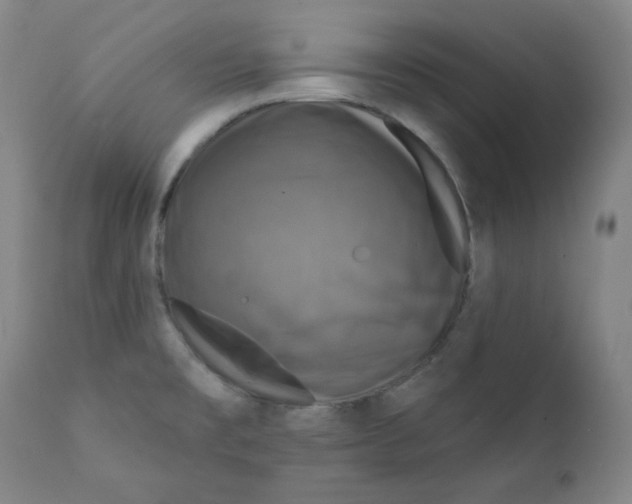 X0000111221477200907231429