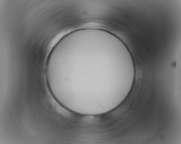X0000111221478200907231429