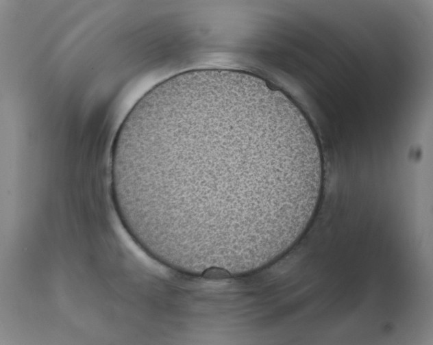 X0000111221479200907231429